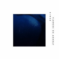 Quatri - Broken Villages (Flowers on Monday Remix) [Nie Wieder Schlafen]