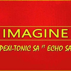 Pexi-Tonic SA Ft Echo SA