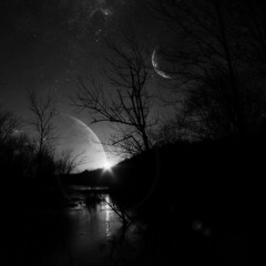PNK - In the dark ( Preview )