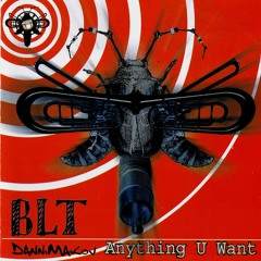 BLT & Danni Makov* - Anything U Want (2004, CD)