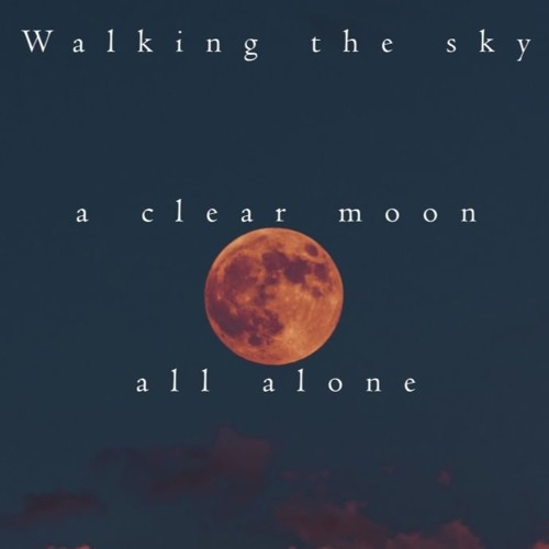 the moon, the long way (naviarhaiku305)