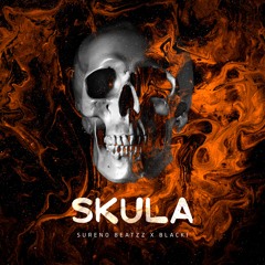 SurenoBeatzz x BlacKi - Skula (Original Mix)