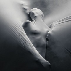 Immortal Lover [ ∑ X Ӈ T Rmx ]