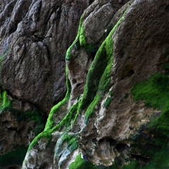 1st Take, "mit Hermannplatz", Herbsttag