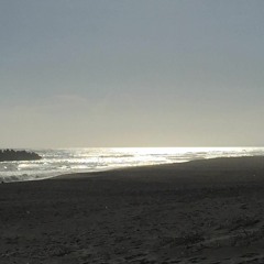 no place to hide (demo)