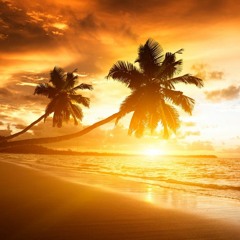 My Tropical Life🌴