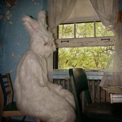 Ветер Перемен