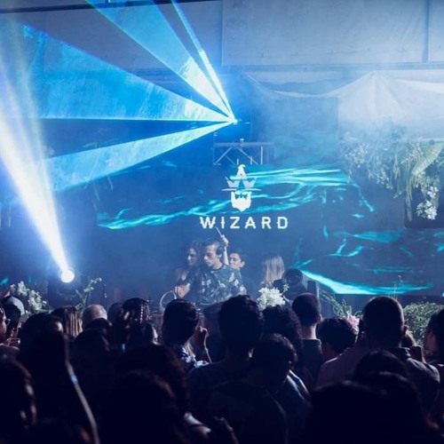 Wizard Live @ Electric Animals Day Party 6/10/19