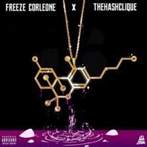 FREEZE CORLEONE - TX / XanBeats x Sobre REMIX