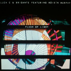 Flash of Light feat. Roisin Murphy (Solomun Mix)