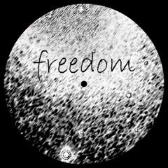 Django Unchained - Freedom ( RiS Edit )