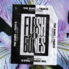 The Subs Vs Tsar B - Flesh & Bones