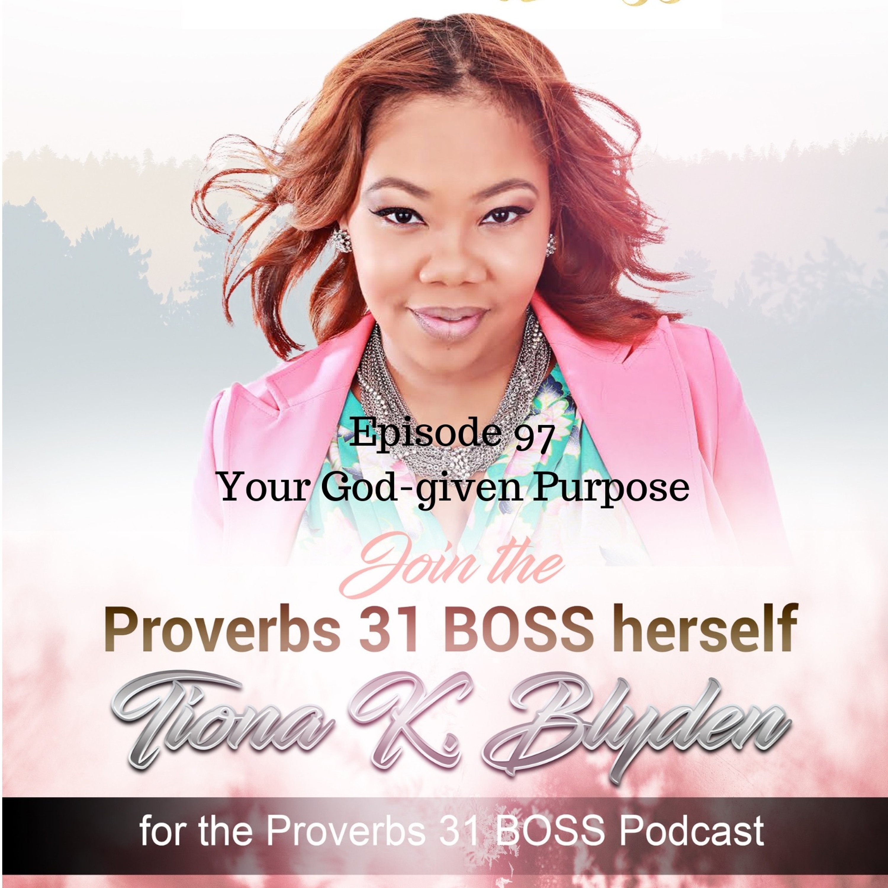 Proverbs 31 BOSS