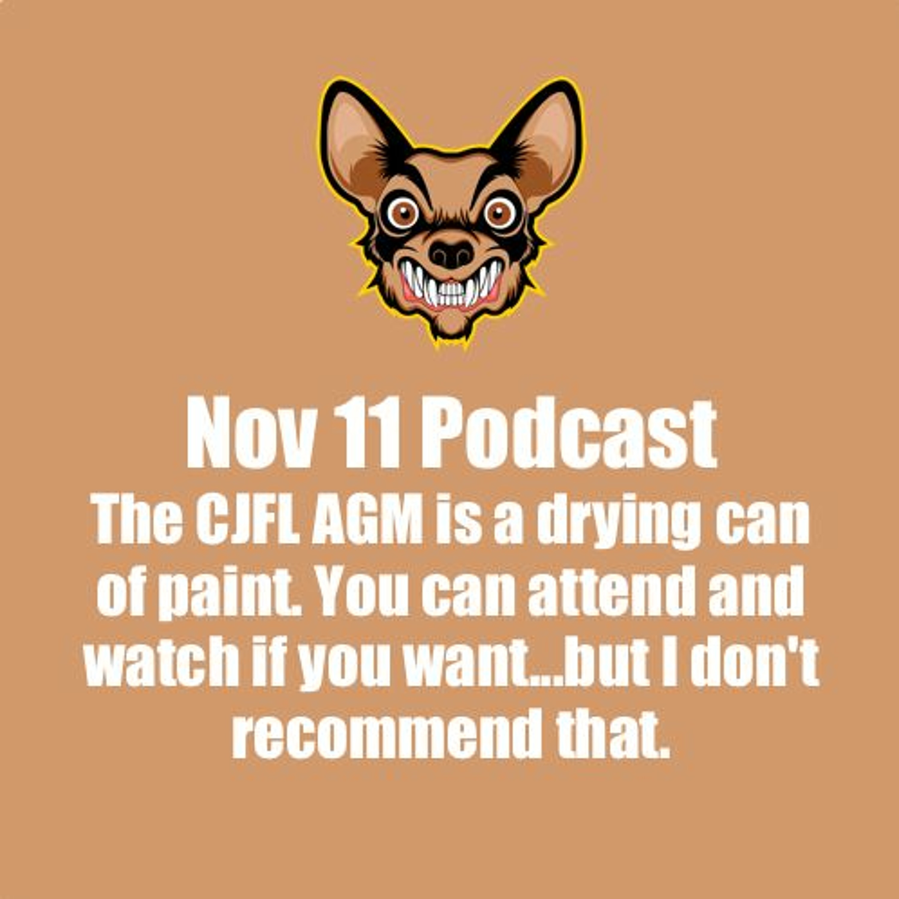 Episode 35-Disagree with U20 but don't suggest the CJFL has a business plan episode artwork