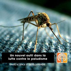 Santé, Science et Développement - Episode 13