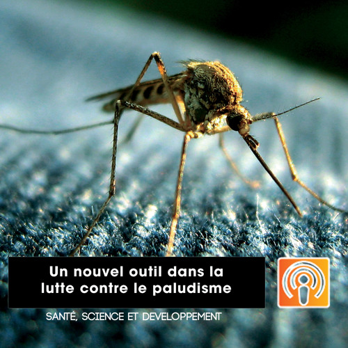 Santé, Science et Développement - Episode 13