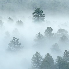 Invisible Valley - arranged for String orchestra (2017)