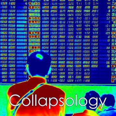 Collapsology (we need to talk...)