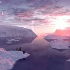 Polar Dawn