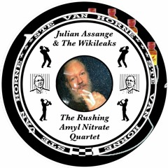 JULIAN ASSANGE AND THE WIKILEAKS