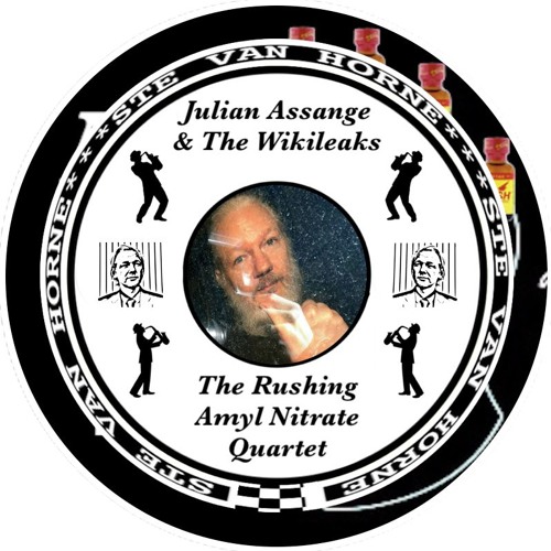 JULIAN ASSANGE AND THE WIKILEAKS