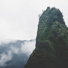 Sublab & Azaleh // Vergangenheit