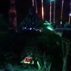 Live from Jungle Space Party 2019