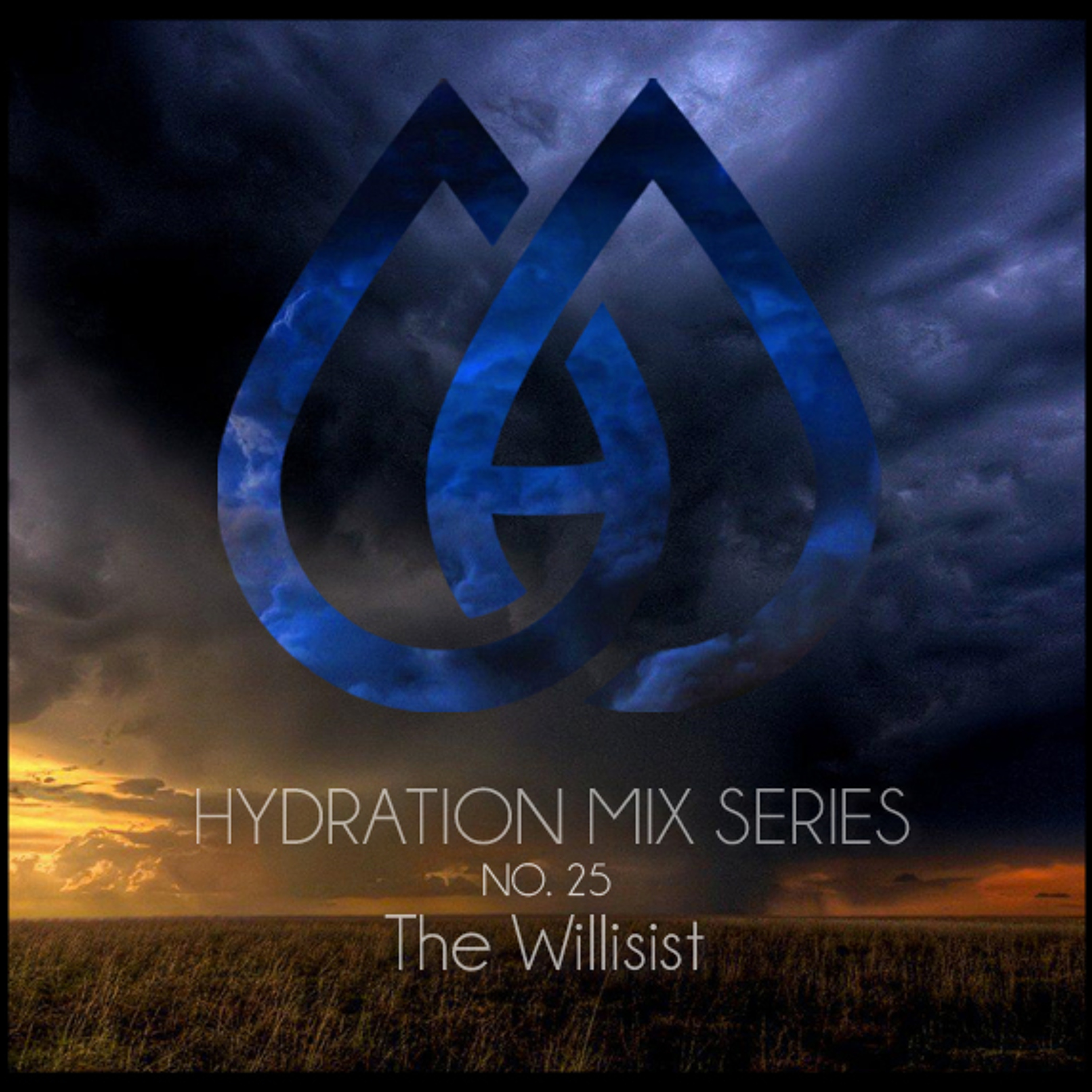 No. 25 - The Willisist