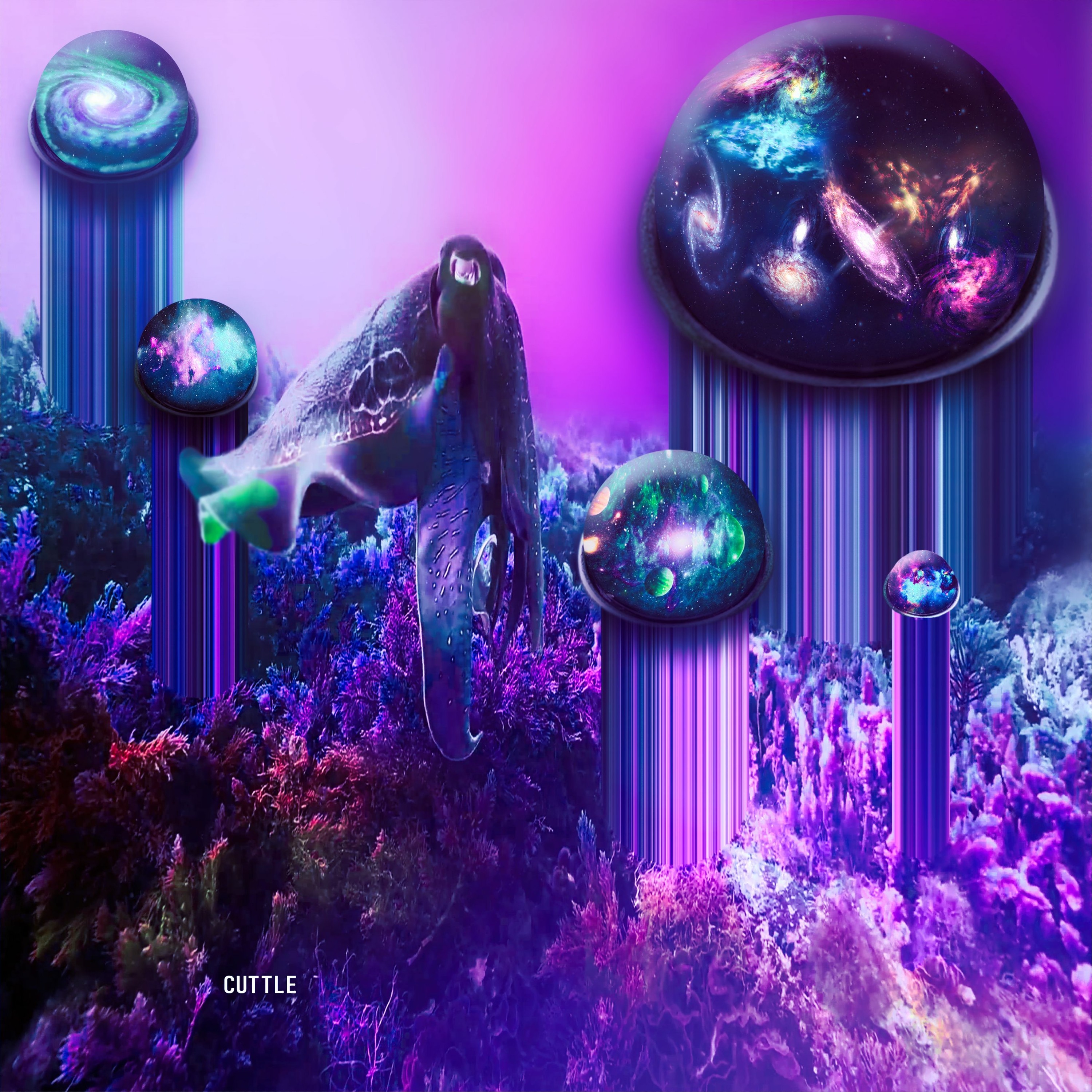 Subseed