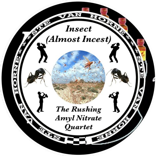 INSECT (ALMOST INCEST)