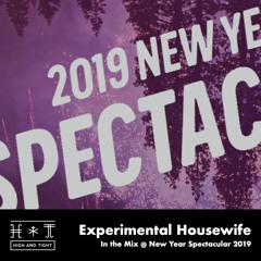 Experimental Housewife 'In The Mix' @ New Year Spectacular 2019