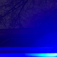 indigo child (prod. Lee)