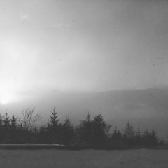 The Stringed Instrument