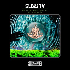 Slow TV: Música para mirar el Acuario