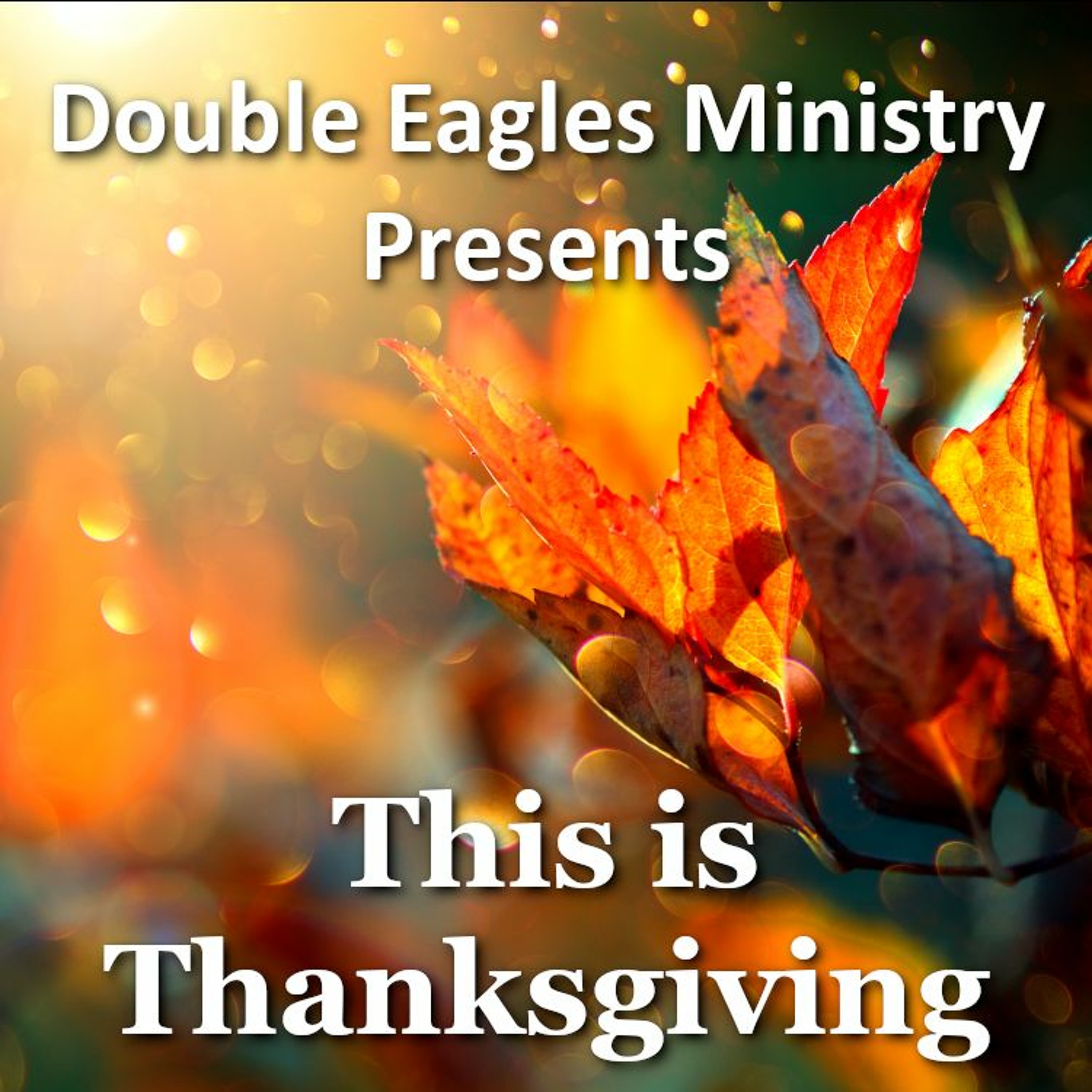 This is Thanksgiving episode artwork