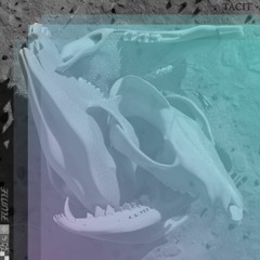 Flume - Rushing Back (feat. Vera Blue) [TACIT Remix]