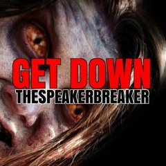 THESPEAKERBREAKER RESTINPEACE…