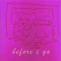 Before I Go (doodle)