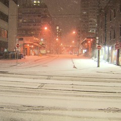 Idealism - Snowfall