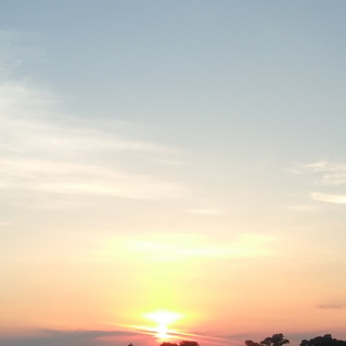 Rest Easy (prod.Pete Rock)