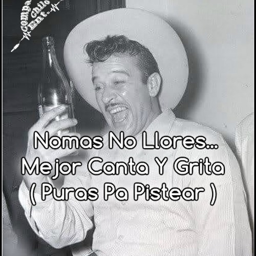 Nomas No Llores, Mejor Canta Y Grita ( Puras Pa Pistear )