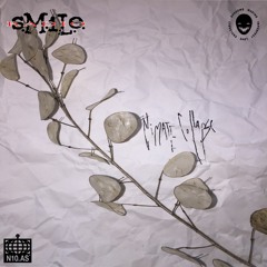 s.M.i.L.e. Radio 036 : Climate Collapse