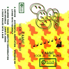 *Premiere* Cammi - Accidental Meditation