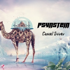 Camel Driver