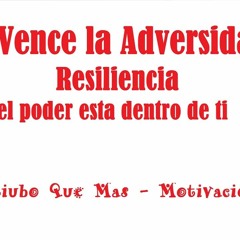 Resiliencia Como Tener Exito Ante La Adversidad - Dr Fernando Daniel EXT 420