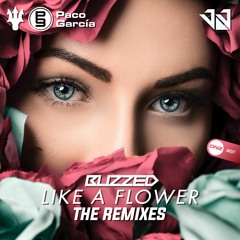 Buzzed - Like a flower JJ´s remix