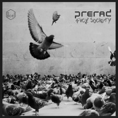 Fvck Society (Out in Jan 2020!)