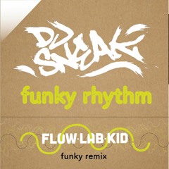 DJ Sneak - Funky Rhythm (Flow Lab Kid funky remix)- FREE D/L