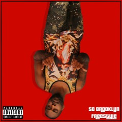 So Brooklyn (Shiest McFly Freestyle)