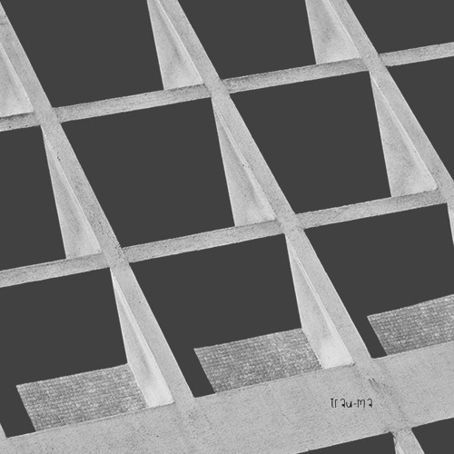 Pablo Wesler - Autumn Breakdown (Original Mix) [TRM112]